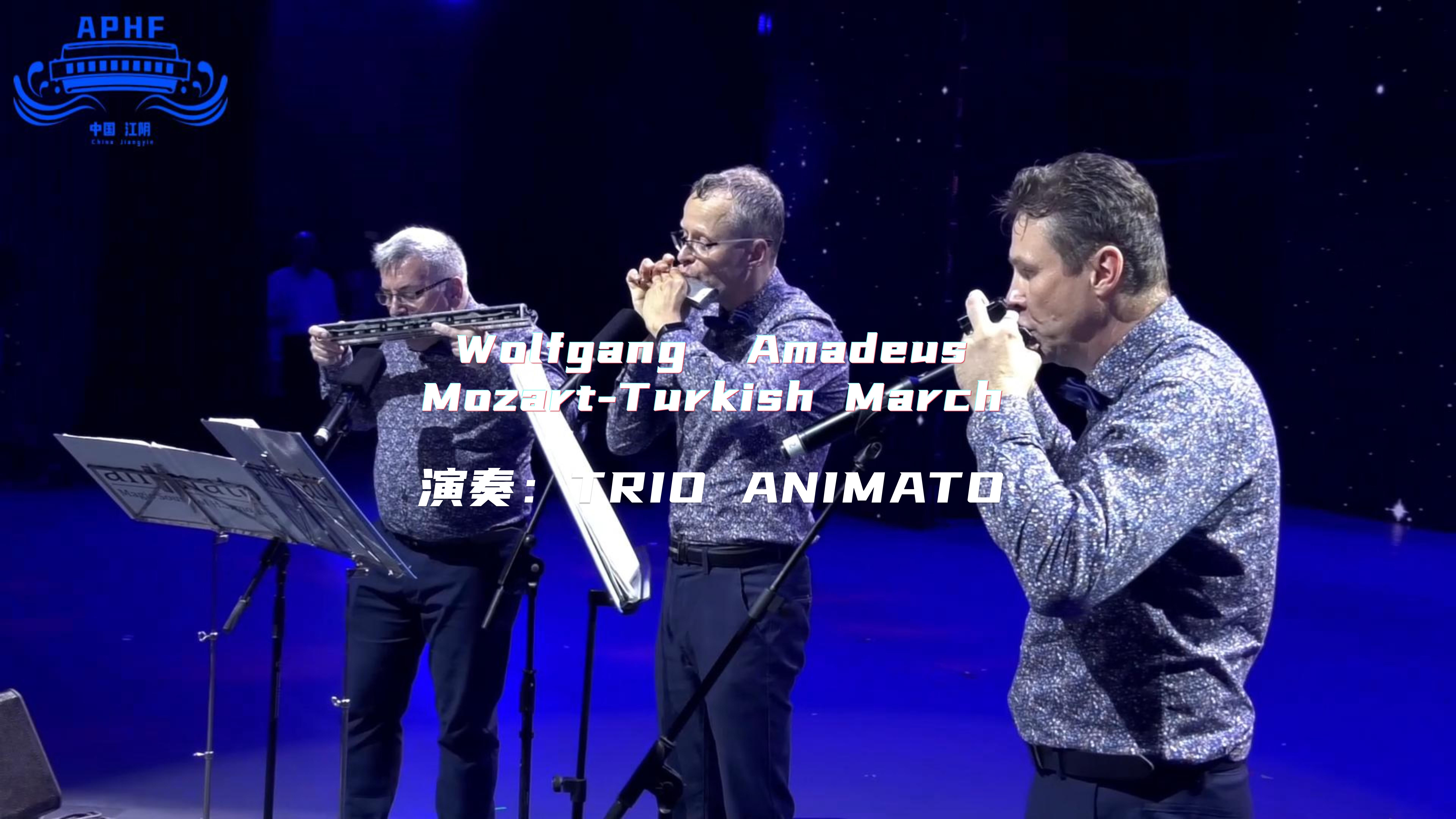 《Wolfgang Amadeus Mozart  - Turkish March》--TRIO ANIMATO